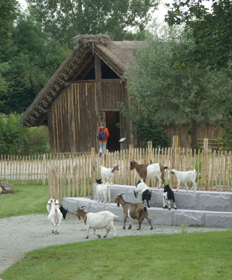 Tiergarten Straubing Urlaub in Niederbayern